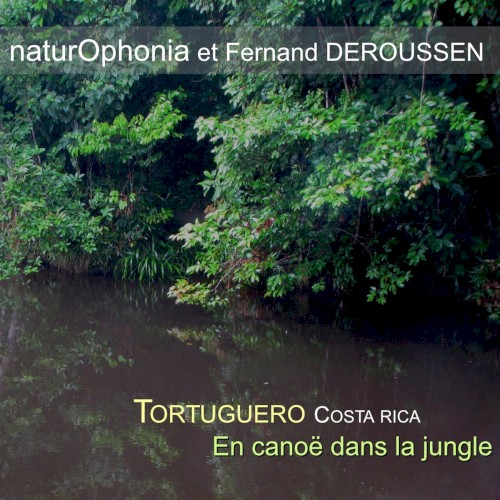 Tortuguero en canoe