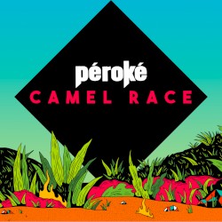 Camel Race