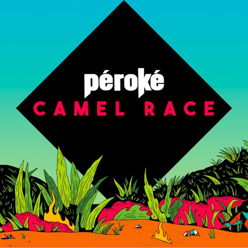 Camel Race