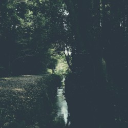 Log 9