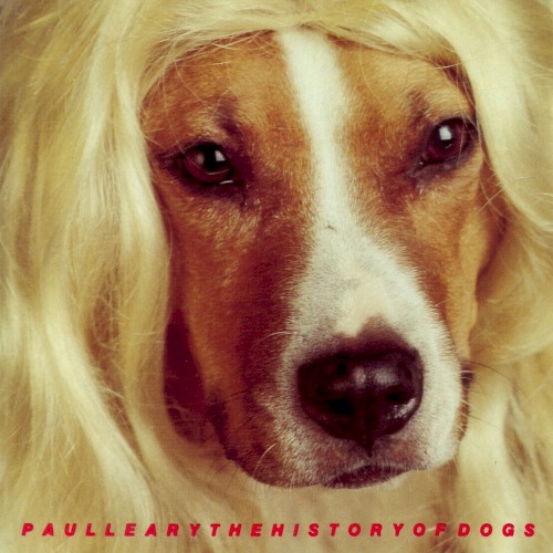 The History of Dogs