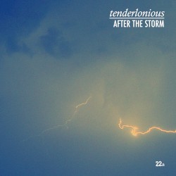 AFTER THE STORM