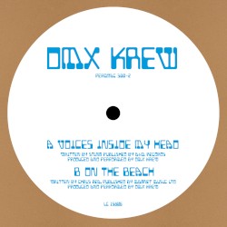 Voices Inside My Head / On The Beach