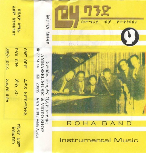 በመሣሪያ ብቻ የተነቀባበረ = Instrumental Music