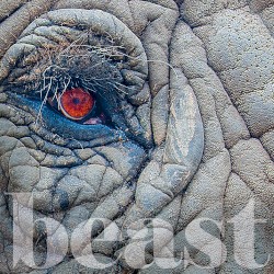 Boston Sessions, Vol. 1: Beast
