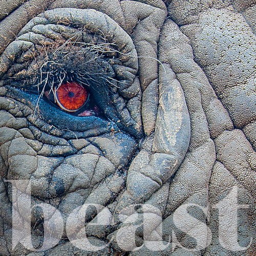 Boston Sessions, Vol. 1: Beast
