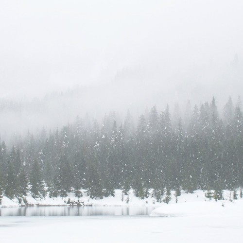 Stillness (Instrumental)
