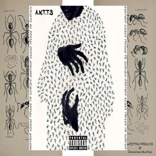 A.N.T.T.S