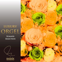 Luxury Orgel Summer Song Selection Vol.1
