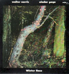 Winter Rose