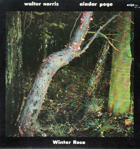 Winter Rose