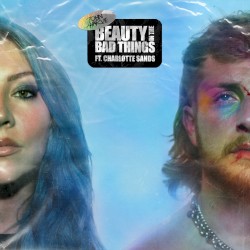 Beauty in the Bad Things