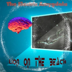 Lion on the Beach