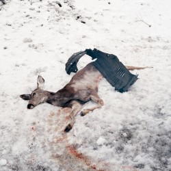 Debemur morti