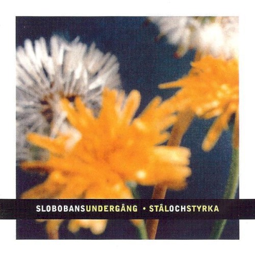 Stål och styrka