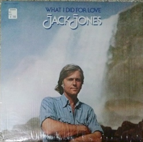 What I Did For Love