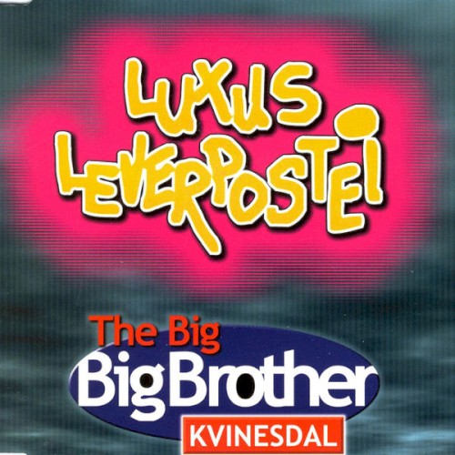The Big Big Brother