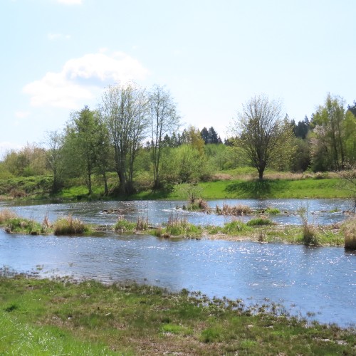 Marymoor Park