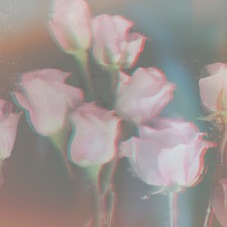 hope is a dangerous thing for a woman like me to have