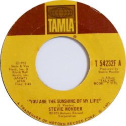 You Are the Sunshine of My Life \ Tuesday Heartbreak