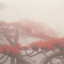 Coral Trees