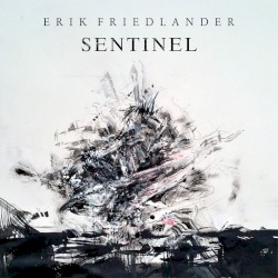Sentinel