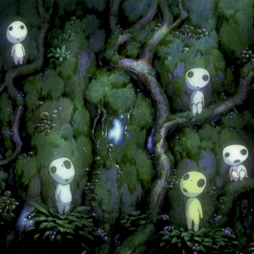 Forest / Kothbiro