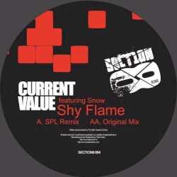 Shy Flame