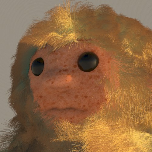 지문