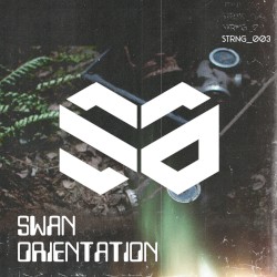 Swan Orientation