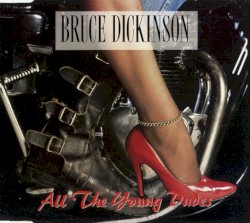 All the Young Dudes
