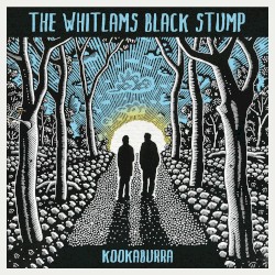 Kookaburra