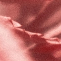 resolve / relate 04