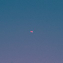But There's Still the Moon