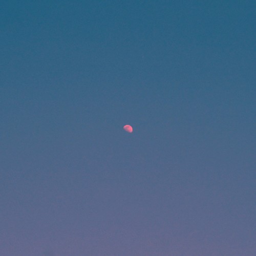 But There's Still the Moon