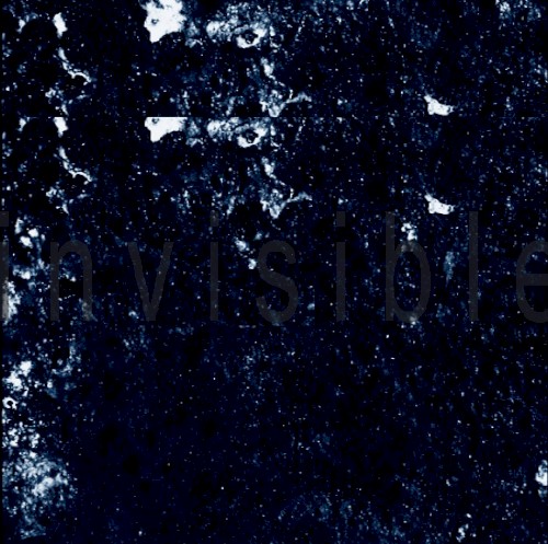 Invisible