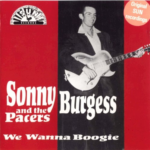 We Wanna Boogie