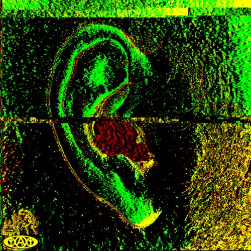 BLSSR1RMXD
