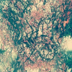 Staring Into Spaces