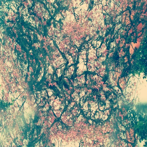 Staring Into Spaces