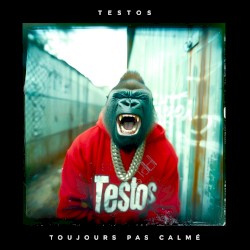 Toujours pas calmé