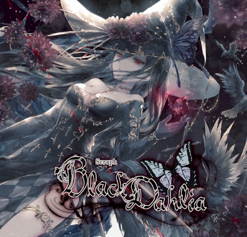 Black Dahlia