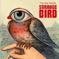 Strange Bird