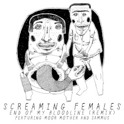 End of My Bloodline (remix)