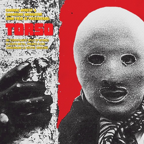 Torso