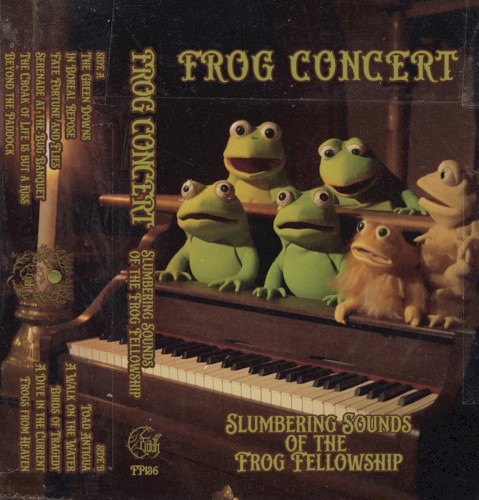 Slumbering Sounds of the Frog Fellowship