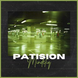 Patision
