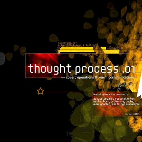Thought Process .01