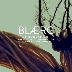 Stridulation: The Resource Consumption of Nine Billion Humans