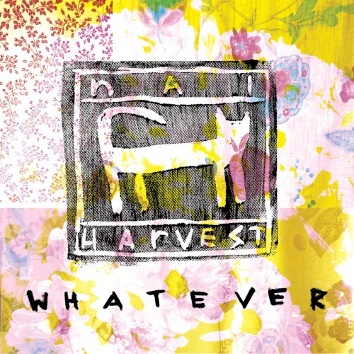 Whatever